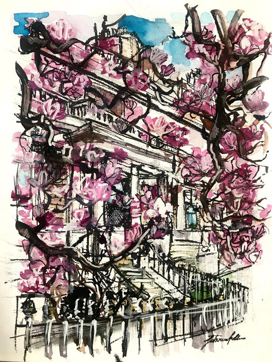 Spring in South Kensington