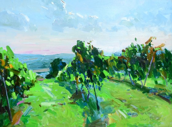 "  Vineyards "