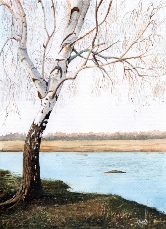 River birch tree