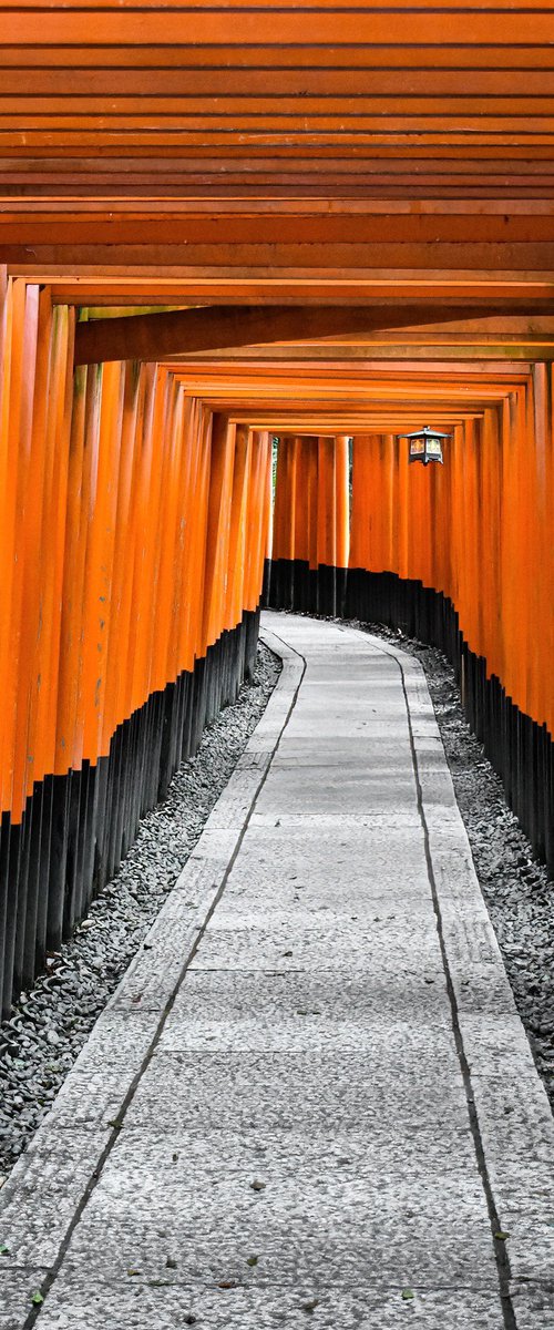 INSIDE THE TORII by Fabio Accorrà