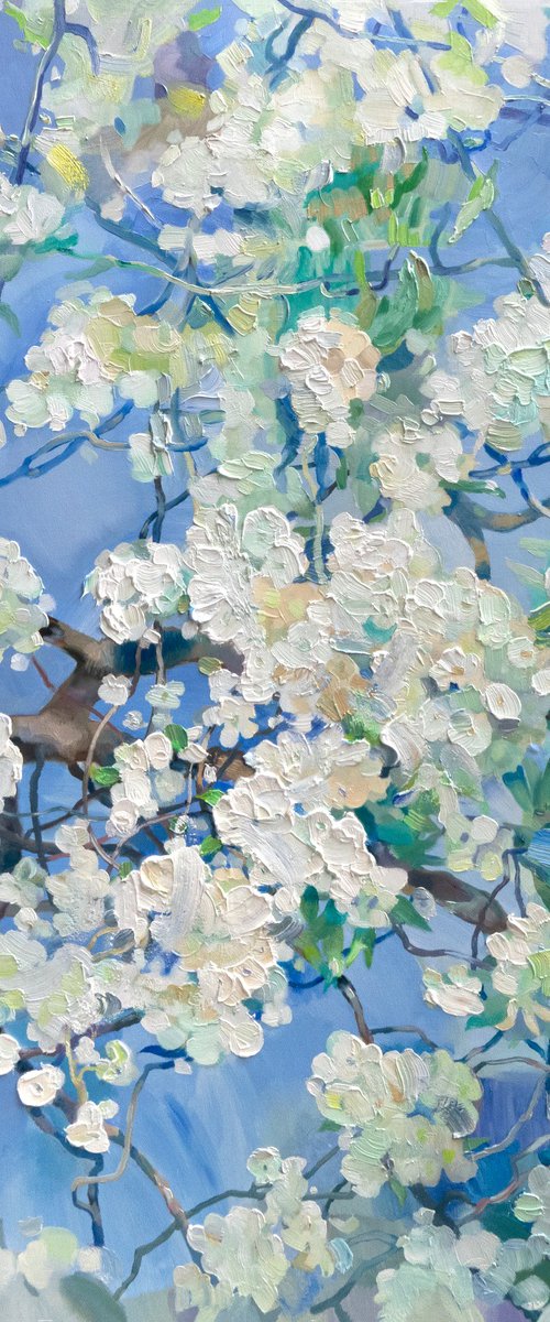 White Miracle of Spring by Anastasiia Grygorieva