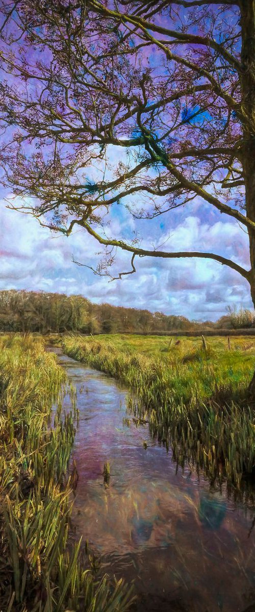 Meadow Stream by Martin  Fry
