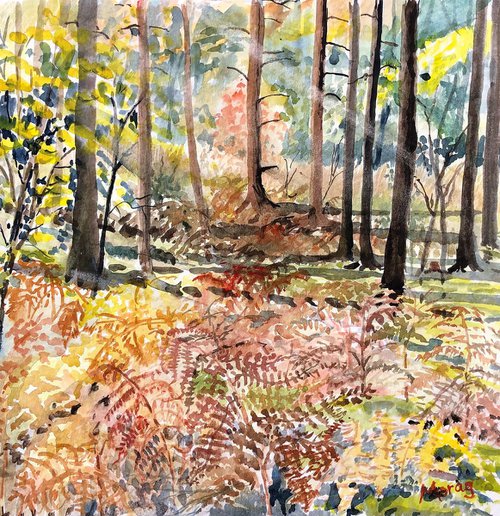 The Forest's Ferny Floor by Morag Paul