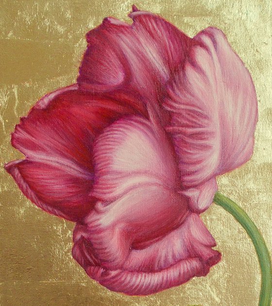 "Pink tulip"