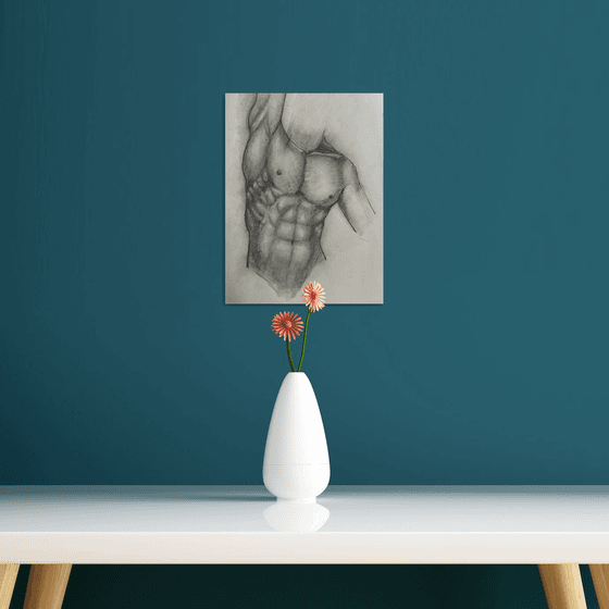 Male Torso Study