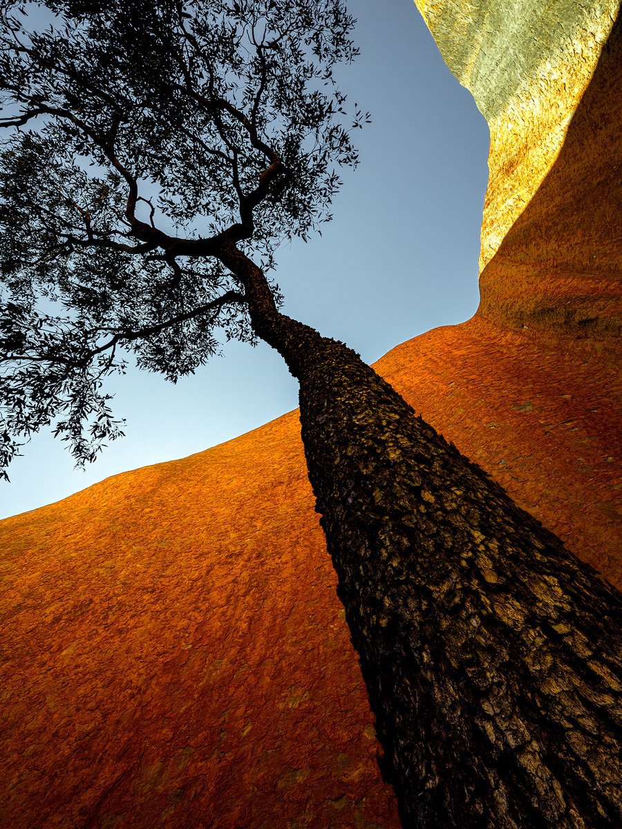 Photorealistic Landscape Photograph By Nick Psomiadis, 35 X 47", Uluru Jarrah, Original Artwork