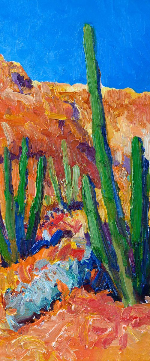 Cactuses in the Desert, Midday by Suren Nersisyan