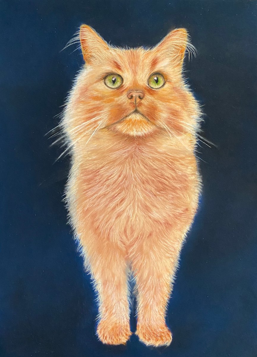 Ginger cat by Maxine Taylor