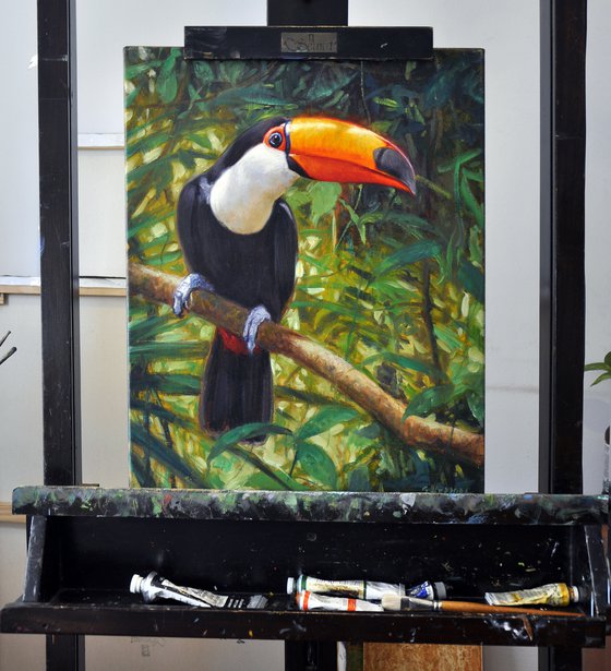 Toucan