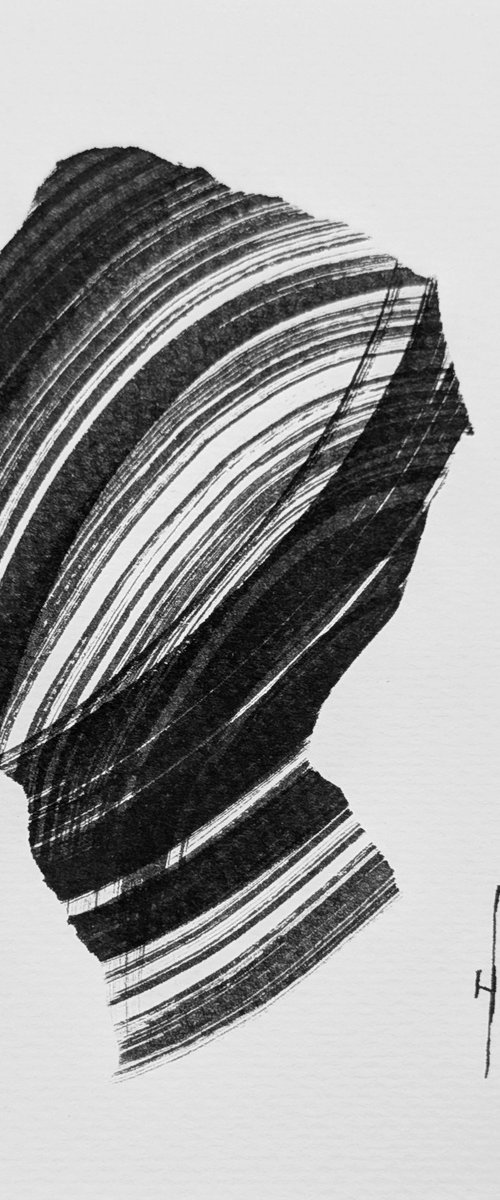 The Shape of Quiet by Nicol Vacaru