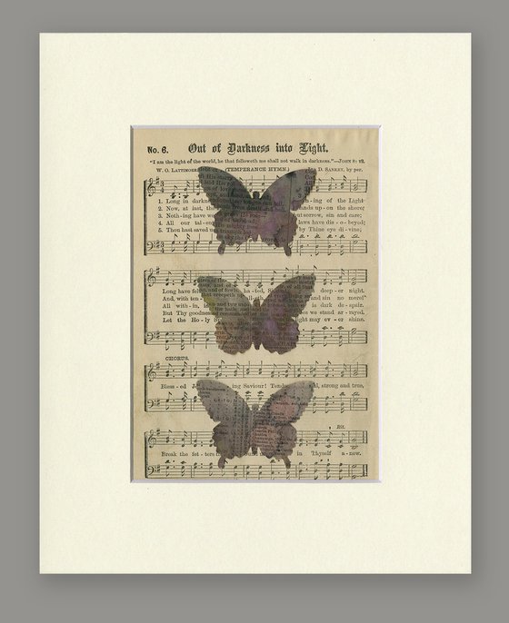Butterfly Collage 14