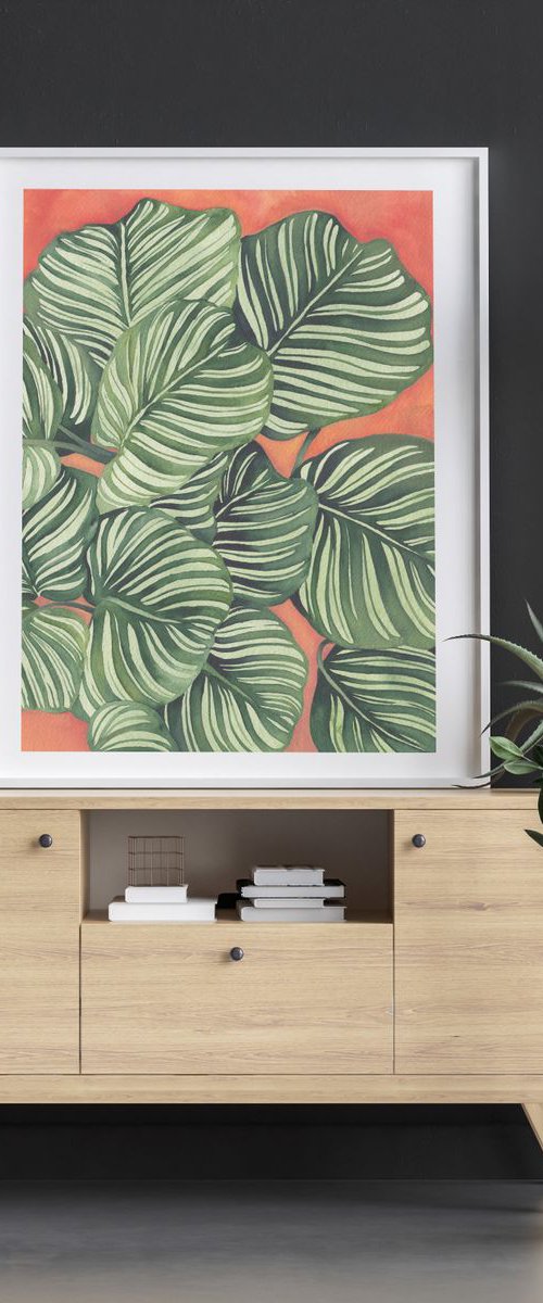 Modern Calathea Plant by Ana Mogush