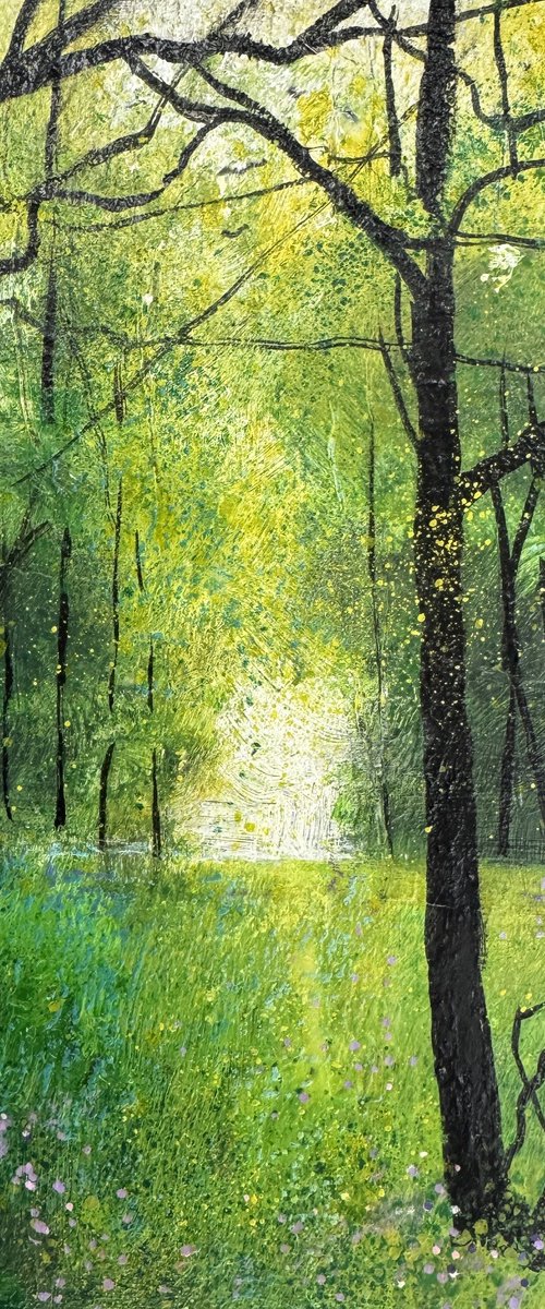 Beeches & Milkmaids Woodland by Teresa Tanner