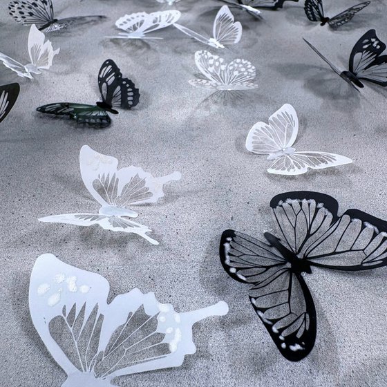 Mono metamorphosis
