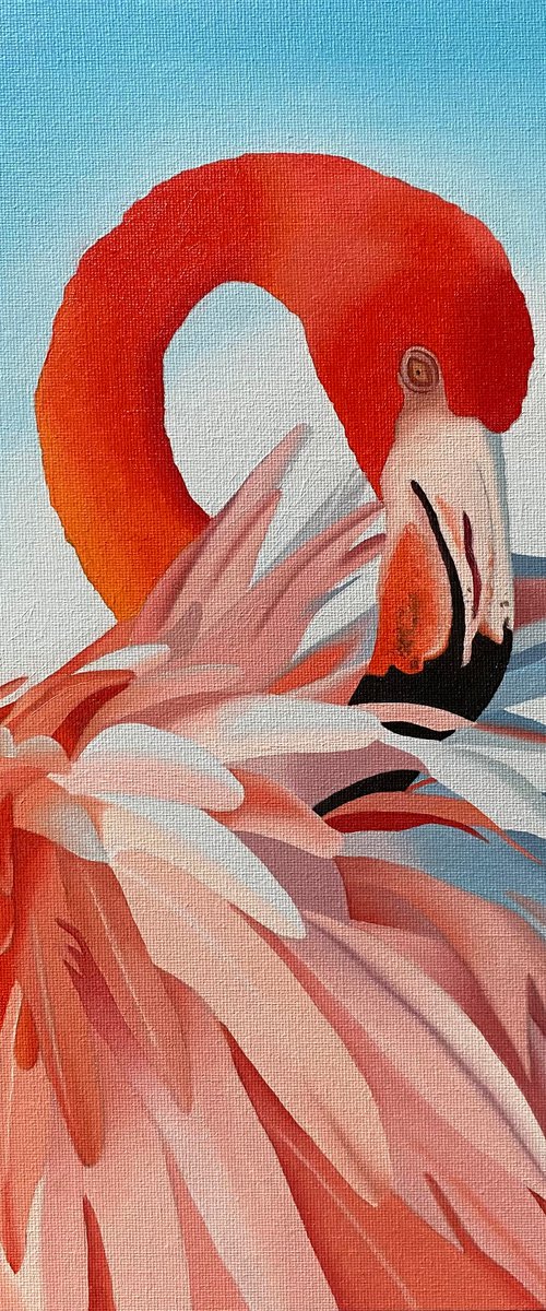 Flamingo by Jill Ann Harper