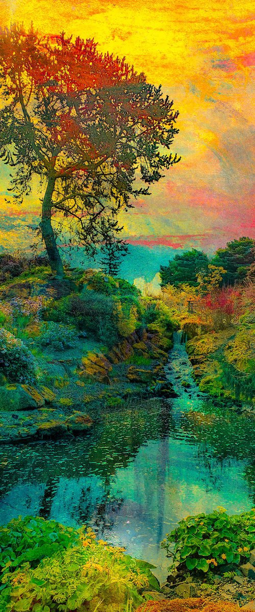 The painted garden by Viet Ha Tran