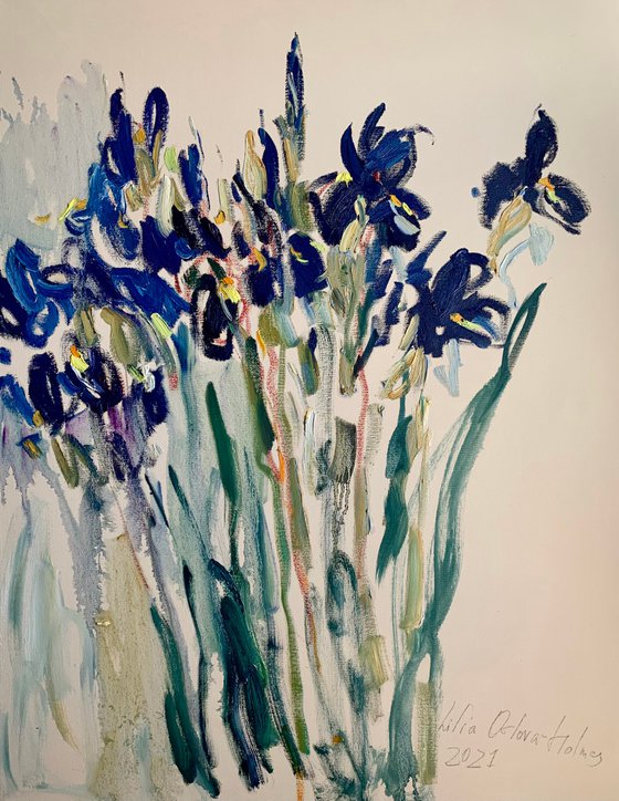 Irises.