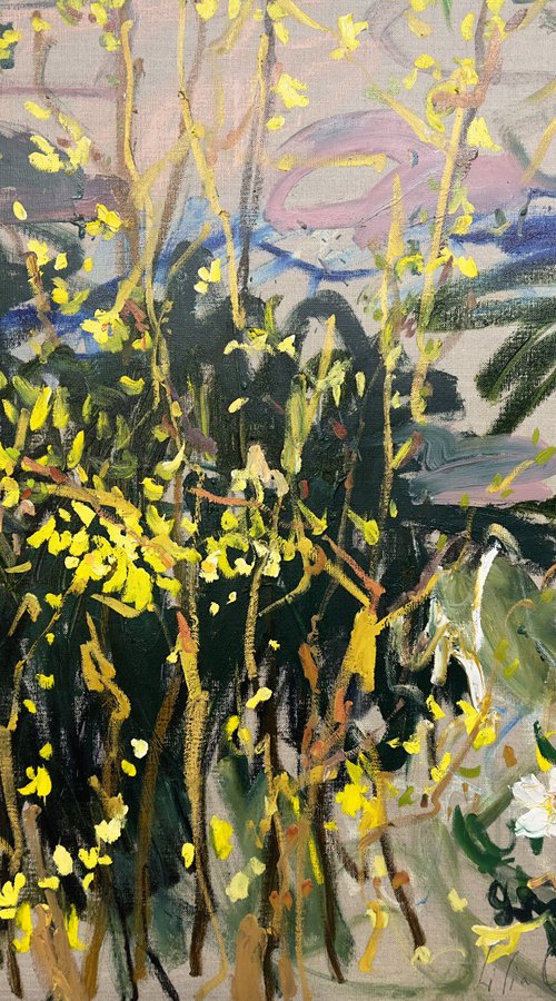 Yellow blossoms. by Lilia Orlova-Holmes