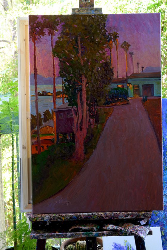 Dusk. Driveway in California