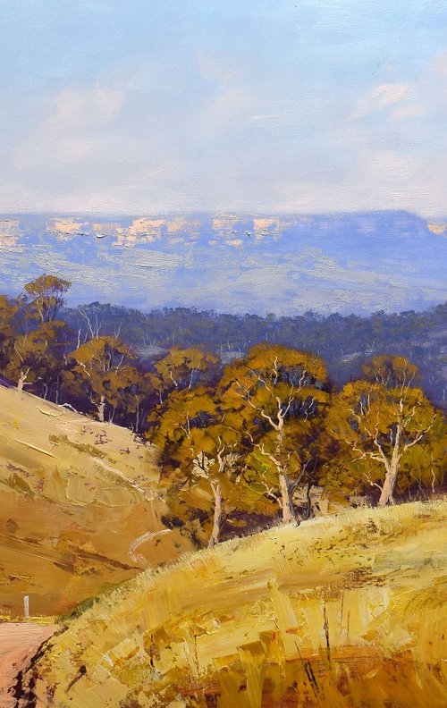 Australian Summer landscape by Graham Gercken