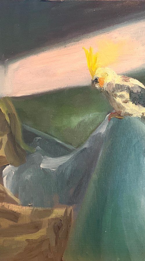 Cockatiel Looking At His Shadow by Ryan  Louder