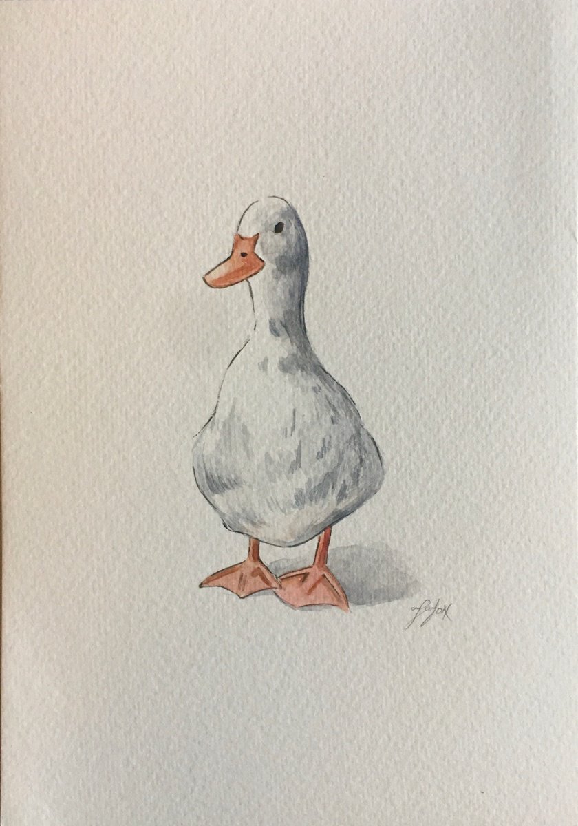 Duck by Amelia Taylor