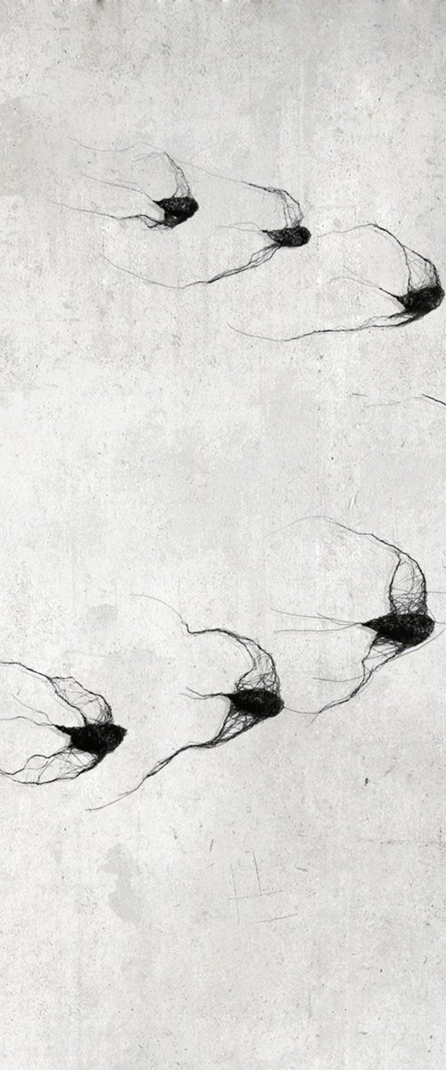 Flock of birds (10 pieces) by Maja Gajewska