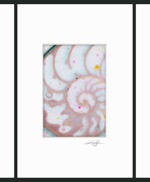Nautilus Shell Collection 1 - 3 Small Matted paintings by Kathy Morton Stanion by Kathy Morton Stanion