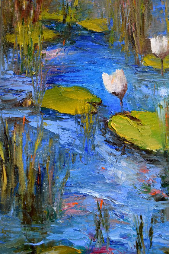 White Lily Pond