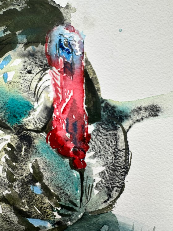 Birds: Turkey and Rooster