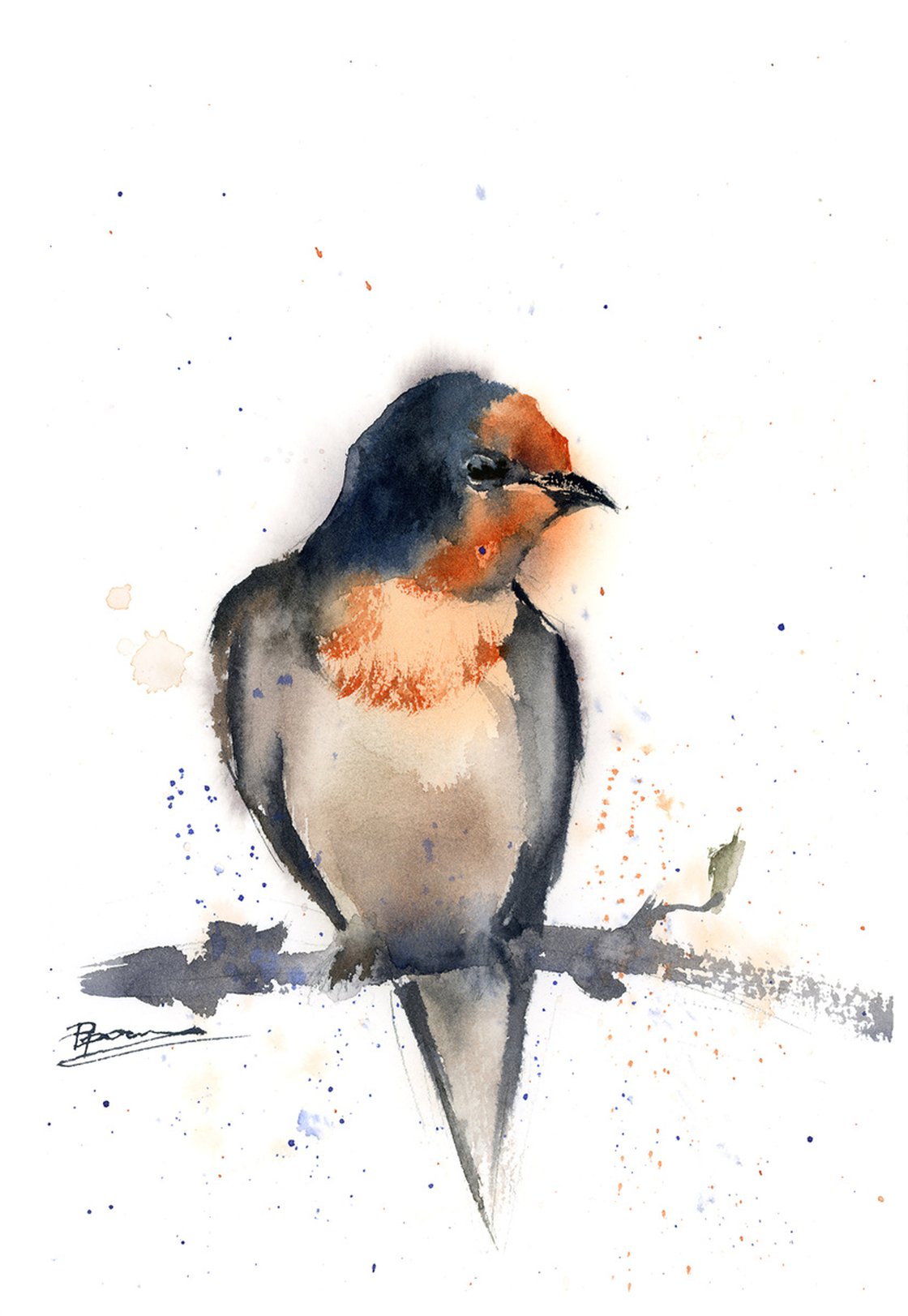 Barn Swallow Watercolour By Olga Shefranov | Artfinder