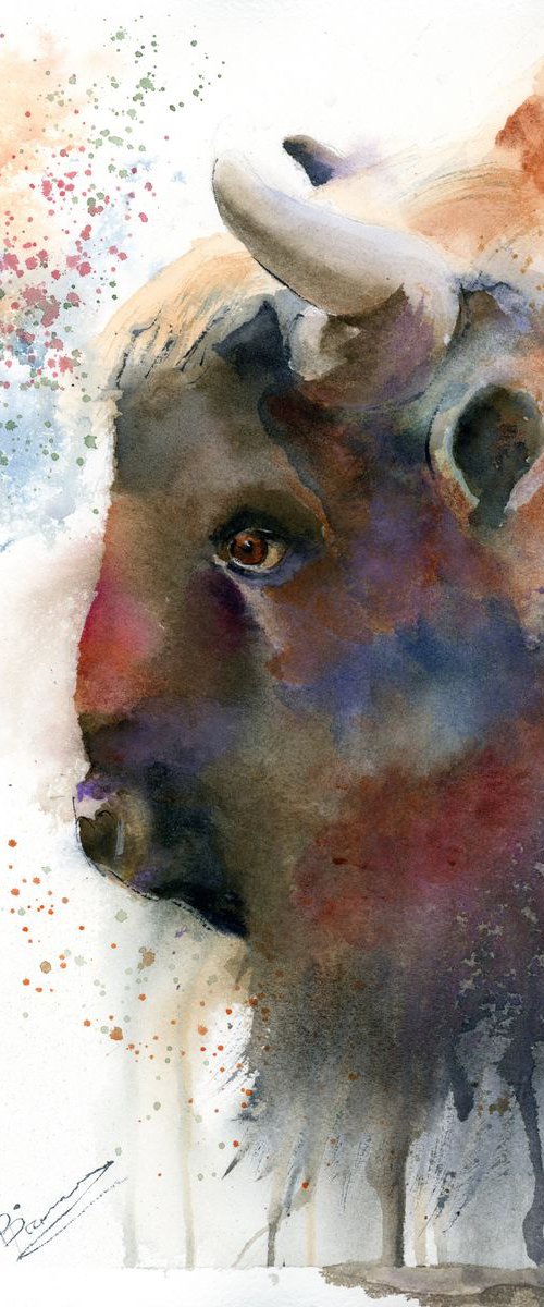 Buffalo portrait by Olga Tchefranov (Shefranov)
