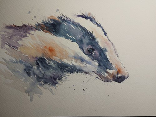 Badger by Sue  Green