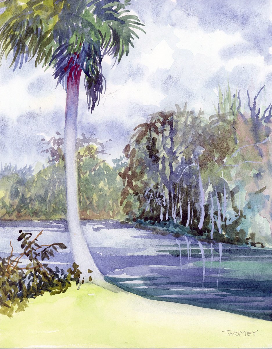 Impressionistic Landscape Watercolour By Catherine Twomey, 8 X 10, Florida, Early Spring, Original Artwork