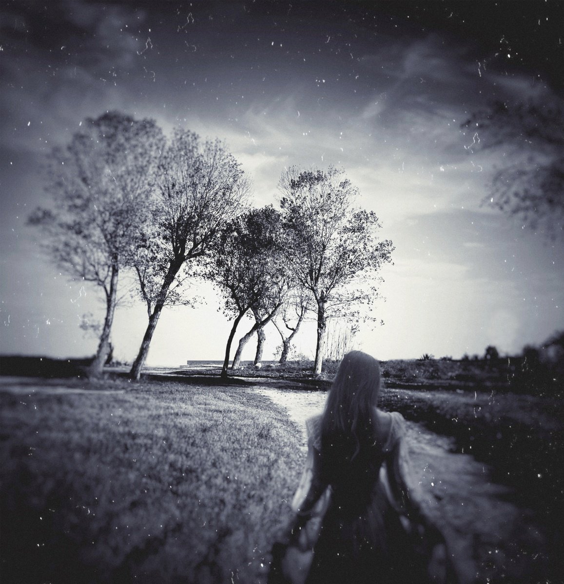 Surrealistic Portrait Photograph By Carmelita Iezzi, 20 X 20, The Road, Original Artwork