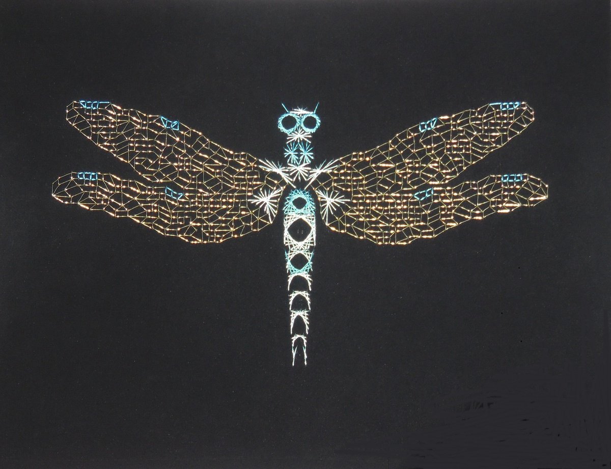 dragonfly by Vivien Choumissa