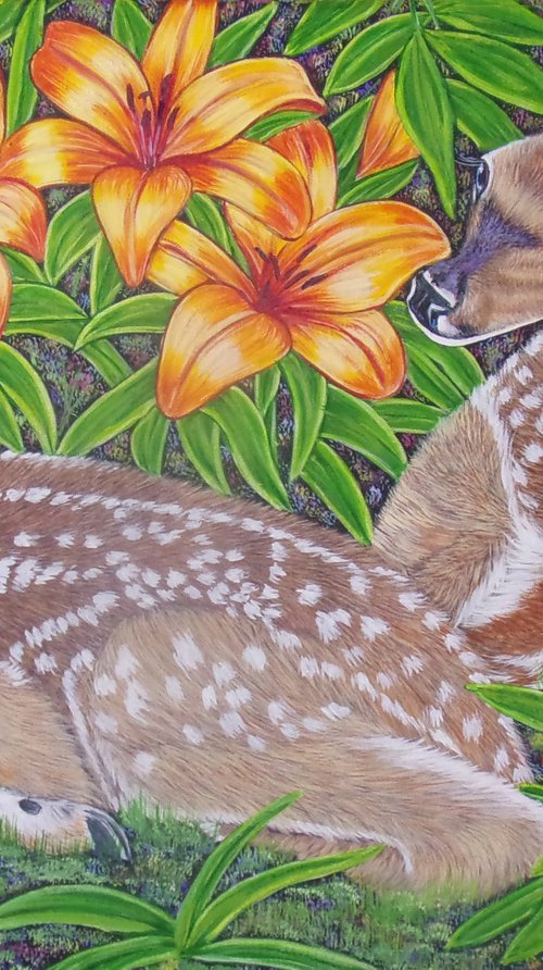 White-tailed deer fawns among Lilies by Sofya Mikeworth