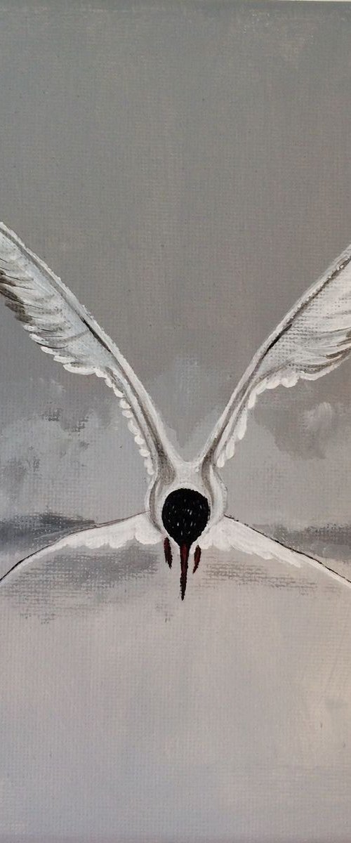 "The Fly" by Lucyanne Terni