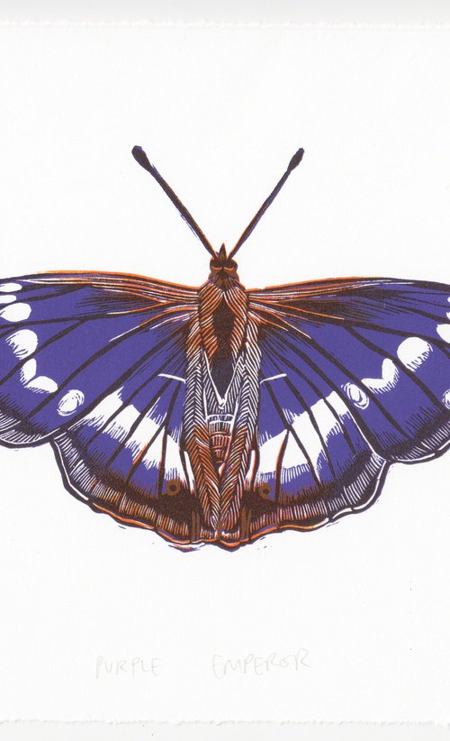 Purple Emperor by Georgia Flowers