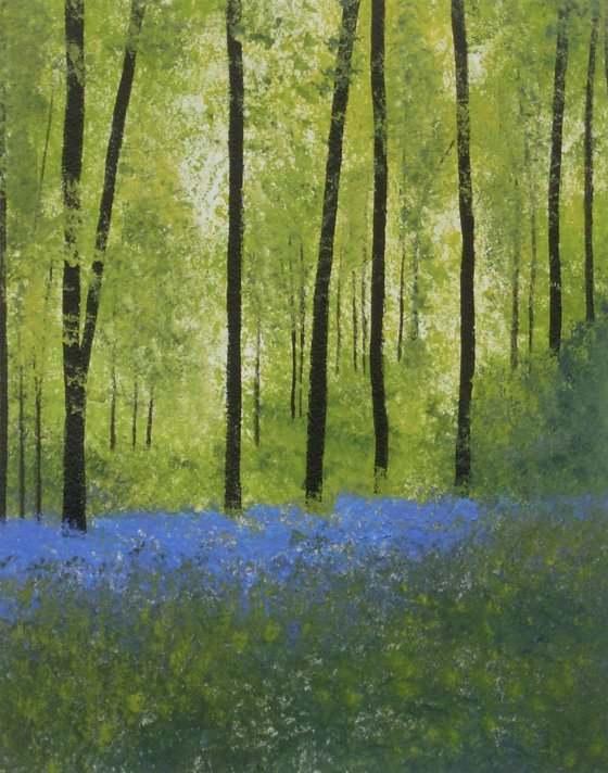 Bluebells