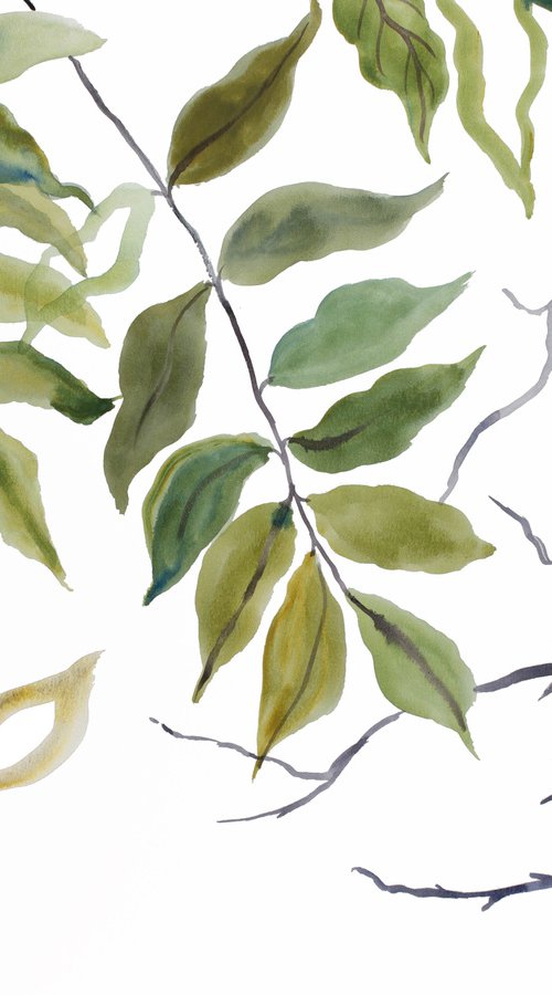 Branch Study No. 27 by Elizabeth Becker