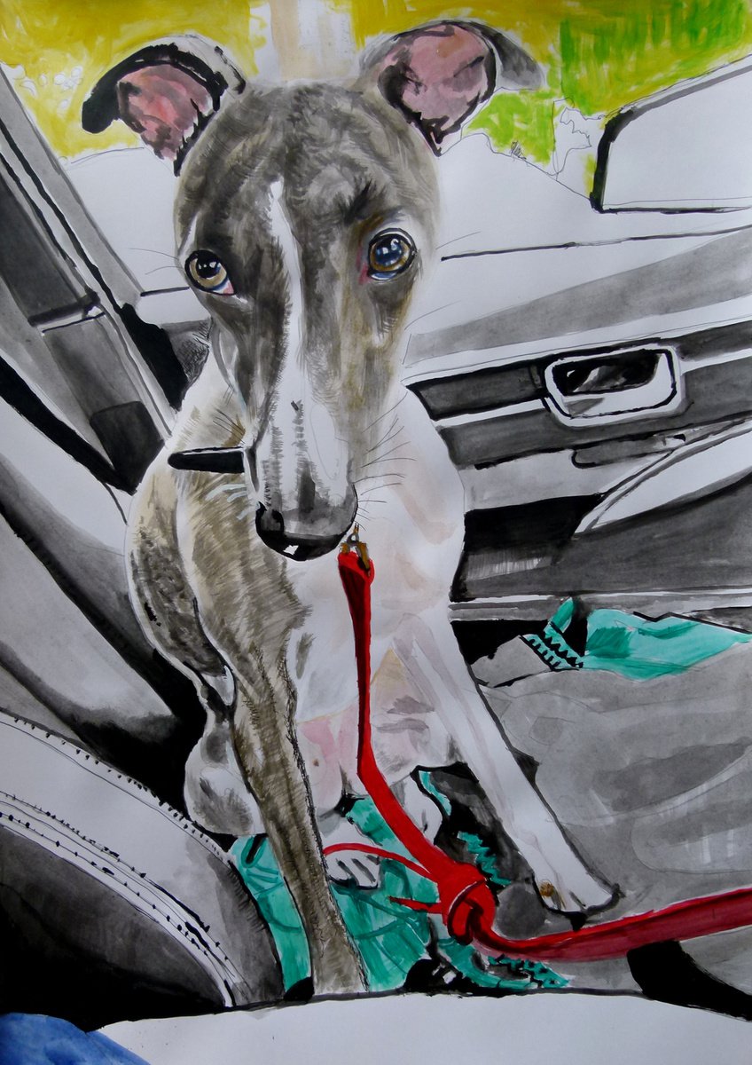 Photorealistic Animal Acrylic Painting By Soso Kumsiashvili, 24 X 33", Whippet, Original Artwork