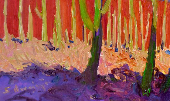 Before the Evening. Saguaros