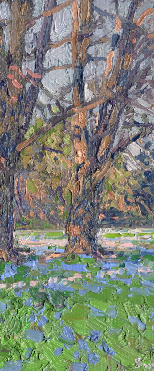 Scilla Lucilii by Simon Kozhin