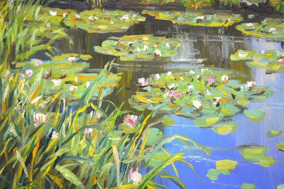 Pond. Water lilies.