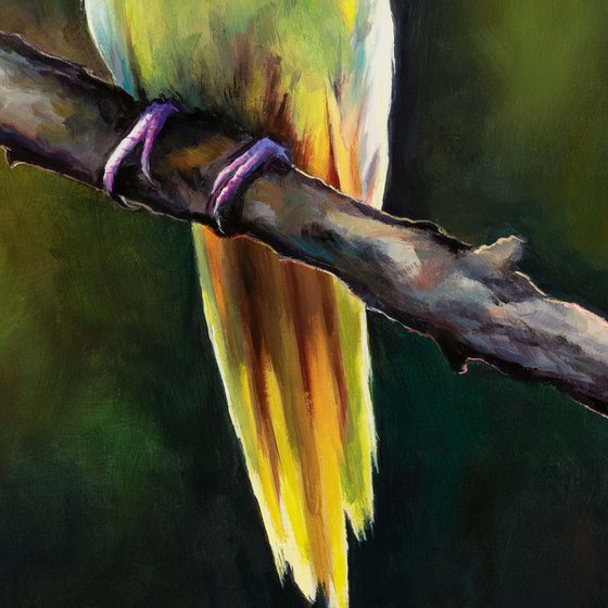 Yellow cockatiel on a branch