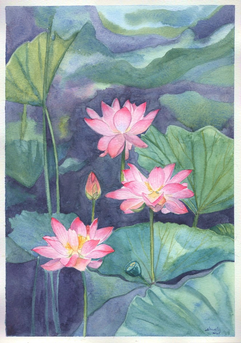 Photorealistic Botanical Watercolour By Shweta Mahajan, 8 X 11", Pink Lotus Flowers, Original Artwork
