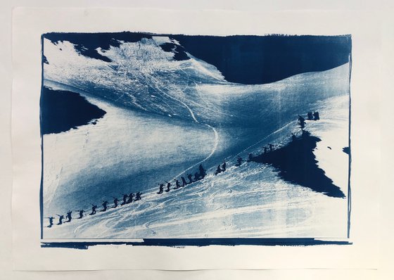 Monter Au Paradis - cyanotype print