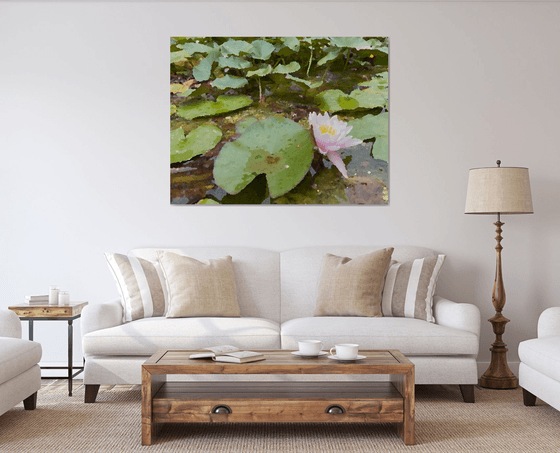 Water lily IV