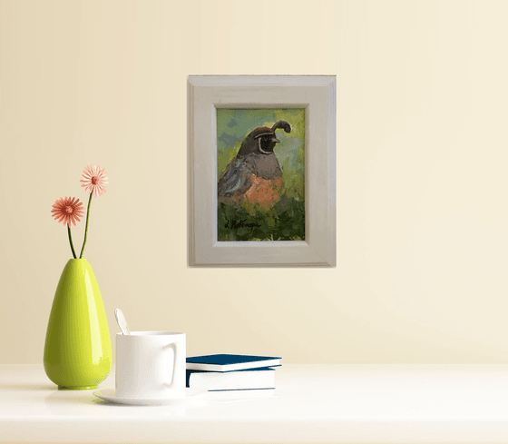 Quail Visitor